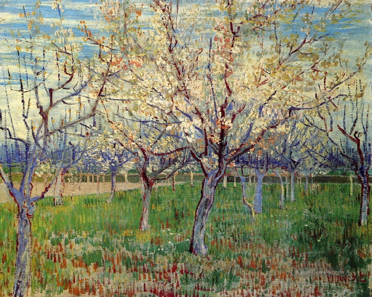 Obstgarten mit blühenden Aprikosen Bäume Vincent van Gogh Szenerie Ölgemälde
